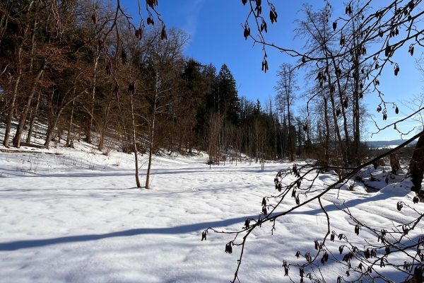 140ad6ed-1497-4952-ab83-a4fd2bf0cb55 140ad6ed-1497-4952-ab83-a4fd2bf0cb55