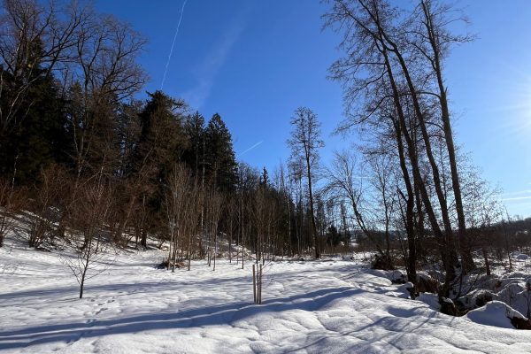 5d37ff86-a98b-491a-a29e-0a1973cb1b70 5d37ff86-a98b-491a-a29e-0a1973cb1b70