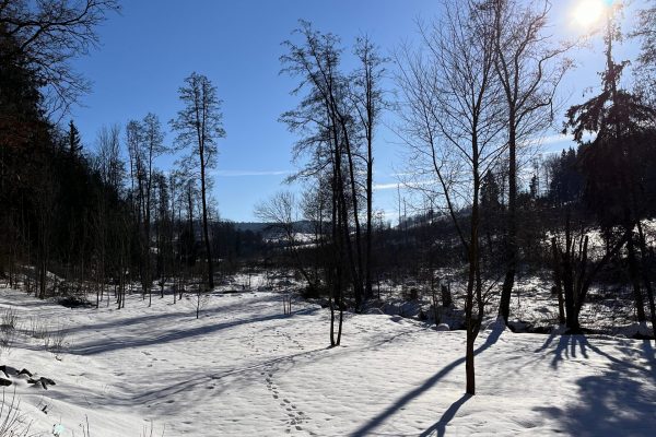 5e5e3381-a4db-4b65-85f8-28d071b15dba 5e5e3381-a4db-4b65-85f8-28d071b15dba