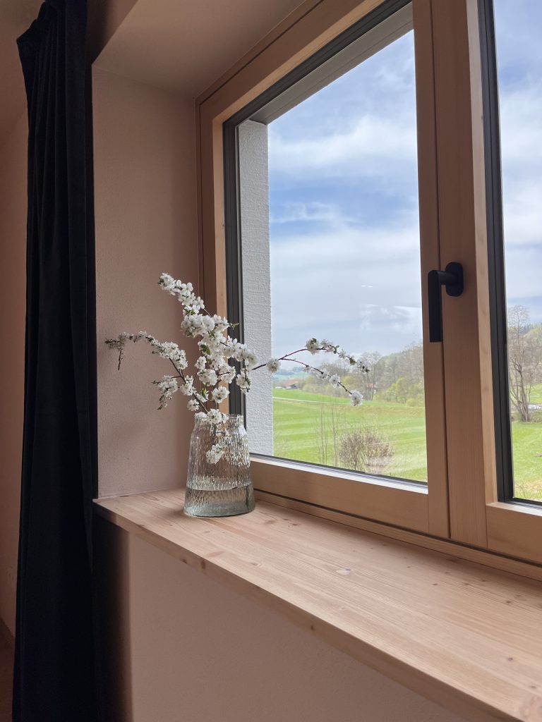 Ausblick Ferienwohnung Johanna Ausblick Ferienwohnung Johanna